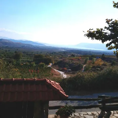 Selini